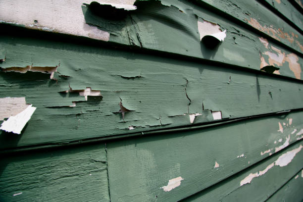 Best Hoarding Cleanup  in Temperance, MI